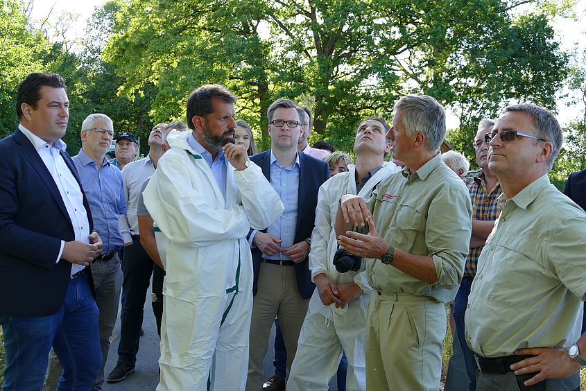 Umweltminister Olaf Lies informiert sich in der Gemeinde Parsau über den Eichenprozessionsspinner-Befall im Landkreis Gifhorn.