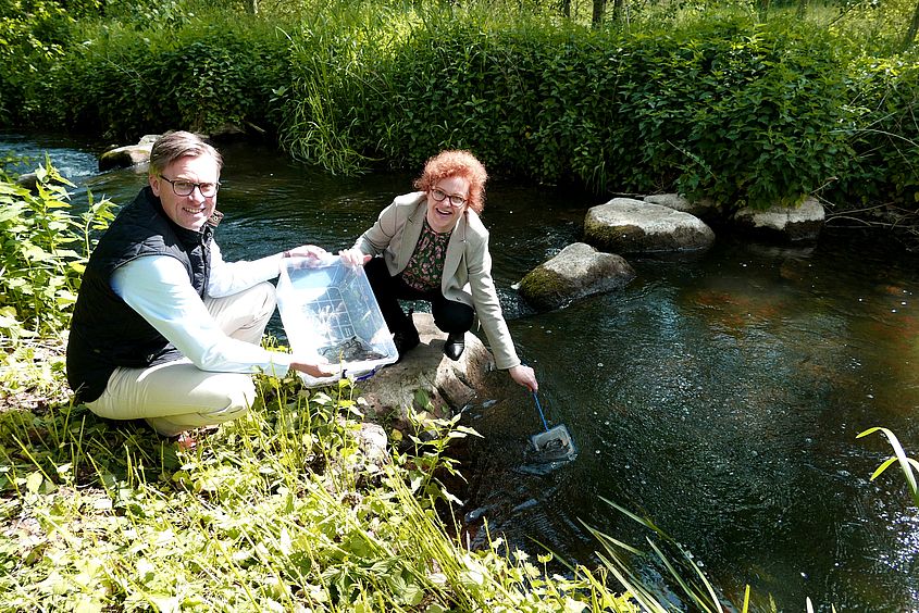 Landrat Dr. Andreas Ebel und Sparkassensprecherin Alexa von der Brelje gaben zehntausend Aalen ein vorübergehendes neues Zuhause in der Oker.